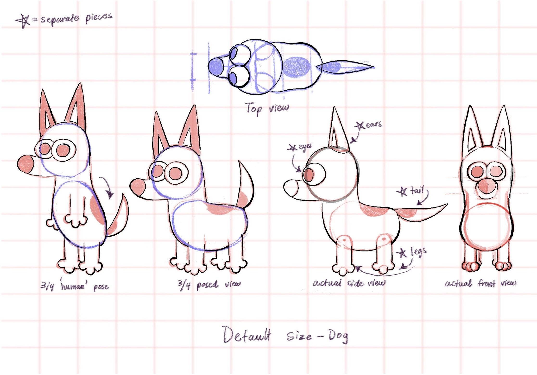 Sofia Azpe's concept turnarounds for the Dog of A Dog's Tail